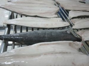 Масляная рыба филе с/м (3 кг)
