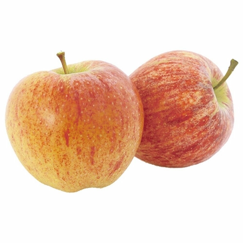 Яблоки Галла