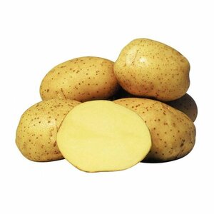 Картофель семенной Ривьера (1), 3кг Евроопт Горки