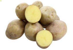 Картофель семенной Лаперла 1кг Евроопт Витебск