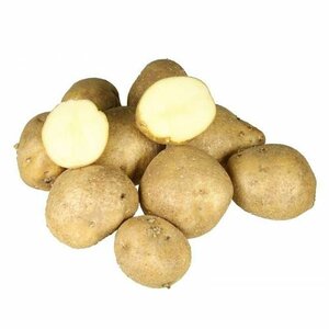 Картофель семенной Голубизна (Э), 3кг Евроопт Горки