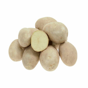 Картофель семенной Удача - Семенной картофель