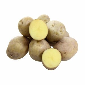 Картофель семенной Лаперла - Семенной Евроопт Быхов