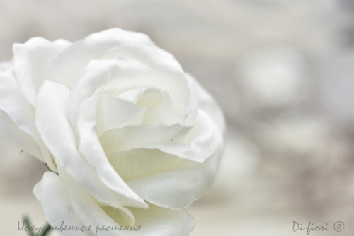 Искусственные цветы Розы белой бутон, h6 d8см. № 3-ROSE Галамарт 