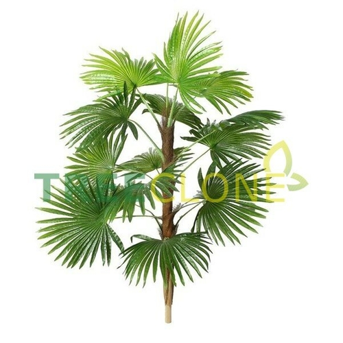 Искусственное дерево Пальма веерная Акси Галамарт 