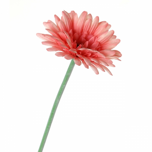 Искусственные растения Arti-M Искусственный цветок Anselm (60 см)