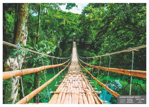 Фотообои бумажные Симфония Бамбуковый мост Гемма 