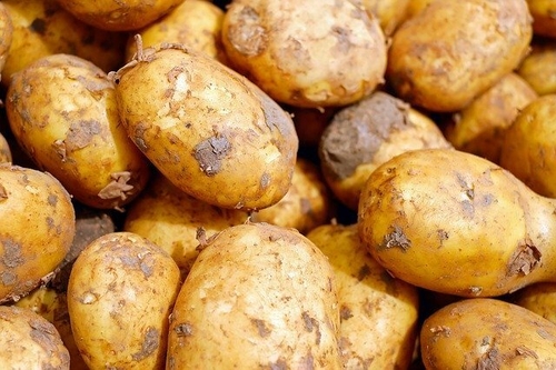 Беби-Картофель Молодой, 1 кг Квартал вкуса 