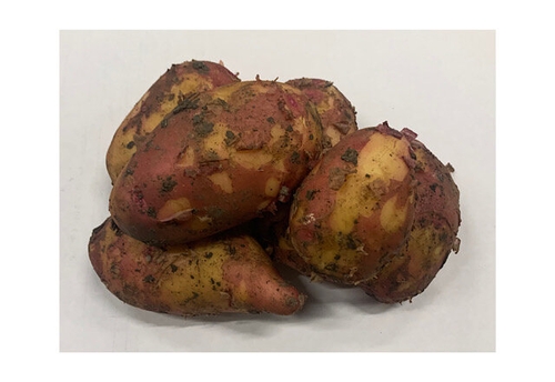 Картофель Молодой Красный, 1 кг Светофор 