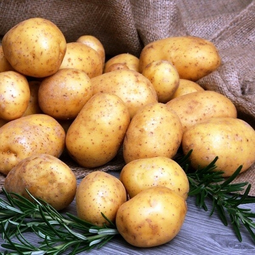 Картофель гала (желтый)