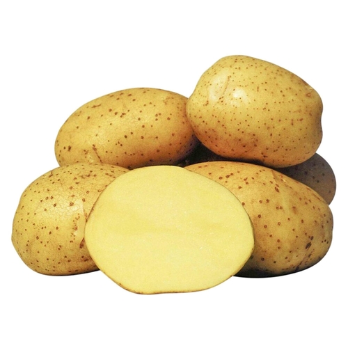 Картофель Гала белый, 1 кг Светофор 