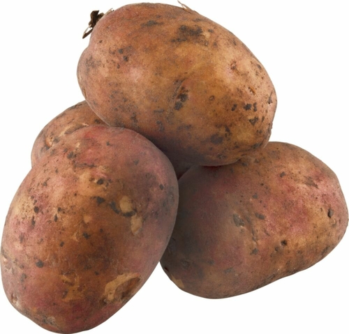 Картофель, 1 кг Светофор 